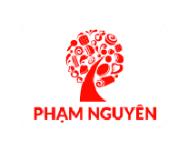 PHAM NGUYEN